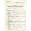 Fiat Coupe  16V